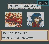 In-game screen of the game Lodoss Tou Senki - Eiyuu Kishiden on Nintendo Game Boy Color