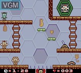In-game screen of the game Maya the Bee and Her Friends on Nintendo Game Boy Color