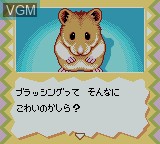 In-game screen of the game Nakayoshi Pet Series 5 - Kawaii Hamster 2 on Nintendo Game Boy Color