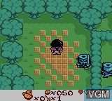 In-game screen of the game Quest for Camelot on Nintendo Game Boy Color