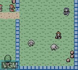 In-game screen of the game Quest - Brian's Journey on Nintendo Game Boy Color