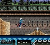 In-game screen of the game Road Champs - BXS Stunt Biking on Nintendo Game Boy Color