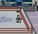 In-game screen of the game WCW Mayhem on Nintendo Game Boy Color