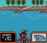 In-game screen of the game Bass Masters Classic on Nintendo Game Boy Color
