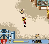 In-game screen of the game Bibi und Tina - Fohlen Felix in Gefahr on Nintendo Game Boy Color