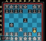 In-game screen of the game Chessmaster on Nintendo Game Boy Color