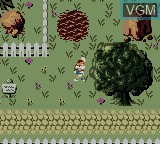 In-game screen of the game Conker's Pocket Tales on Nintendo Game Boy Color