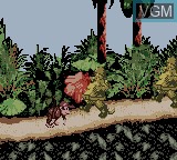 In-game screen of the game Donkey Kong Country on Nintendo Game Boy Color
