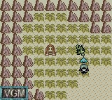 In-game screen of the game Dragon Warrior Monsters 2 - Tara's Adventure on Nintendo Game Boy Color