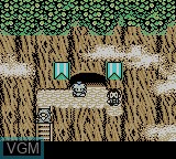 In-game screen of the game Dragon Warrior Monsters on Nintendo Game Boy Color