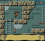 In-game screen of the game Montezuma's Return on Nintendo Game Boy Color