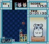 In-game screen of the game Hamster Club - Awasete Chu on Nintendo Game Boy Color