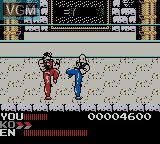 In-game screen of the game Hiryu no Ken Retsuden GB on Nintendo Game Boy Color