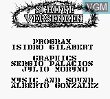 Title screen of the game Schiffe Versenken on Nintendo Game Boy