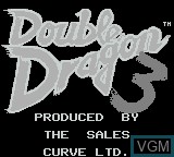 Title screen of the game Double Dragon 3 - The Arcade Game on Nintendo Game Boy