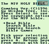 Title screen of the game NIV Bible & the 20 Lost Levels of Joshua on Nintendo Game Boy