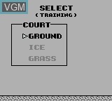 Menu screen of the game Magnetic Soccer on Nintendo Game Boy