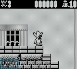 Menu screen of the game Krusty's Fun House on Nintendo Game Boy