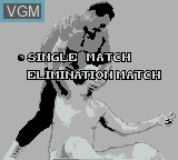 Menu screen of the game WCW Wrestling - The Main Event on Nintendo Game Boy