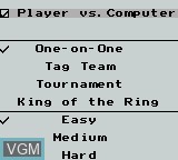 Menu screen of the game WWF King of the Ring on Nintendo Game Boy