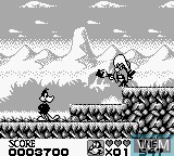 In-game screen of the game Looney Tunes on Nintendo Game Boy