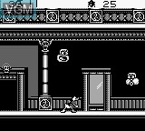 In-game screen of the game Maui Mallard in Cold Shadow on Nintendo Game Boy