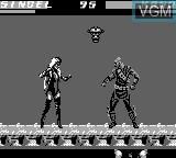 In-game screen of the game Mortal Kombat 3 on Nintendo Game Boy