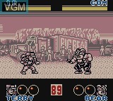 In-game screen of the game Nettou Garou Densetsu 2 - Aratanaru Tatakai on Nintendo Game Boy