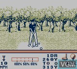 In-game screen of the game PGA European Tour on Nintendo Game Boy