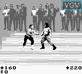 In-game screen of the game Pit-Fighter on Nintendo Game Boy