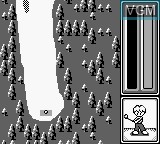 In-game screen of the game Pocket Golf on Nintendo Game Boy