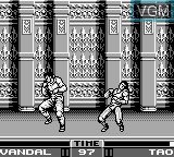 In-game screen of the game Raging Fighter on Nintendo Game Boy