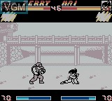 In-game screen of the game Nettou Real Bout Garou Densetsu Special on Nintendo Game Boy