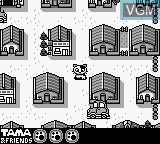 In-game screen of the game 3 Choume no Tama - Tama and Friends - 3 Choume Obake Panic!! on Nintendo Game Boy