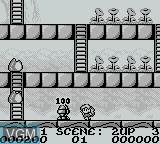 In-game screen of the game RodLand on Nintendo Game Boy