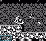 In-game screen of the game Adventure Island on Nintendo Game Boy
