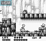In-game screen of the game Trip World on Nintendo Game Boy