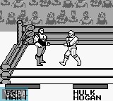 In-game screen of the game WWF King of the Ring on Nintendo Game Boy