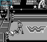In-game screen of the game WWF Superstars on Nintendo Game Boy
