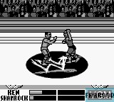 In-game screen of the game WWF War Zone on Nintendo Game Boy