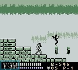 In-game screen of the game Castlevania Legends on Nintendo Game Boy