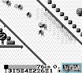 In-game screen of the game Family Jockey 2 - Meiba no Kettou on Nintendo Game Boy