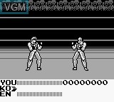 In-game screen of the game Fighting Simulator - 2-in-1 Flying Warriors on Nintendo Game Boy