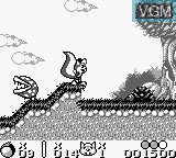 In-game screen of the game Mr. Nutz on Nintendo Game Boy