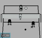 In-game screen of the game Malibu Beach Volleyball on Nintendo Game Boy