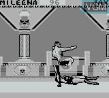 In-game screen of the game Mortal Kombat II on Nintendo Game Boy