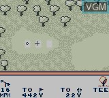In-game screen of the game PGA European Tour on Nintendo Game Boy