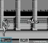 In-game screen of the game Raging Fighter on Nintendo Game Boy