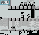 In-game screen of the game RodLand on Nintendo Game Boy