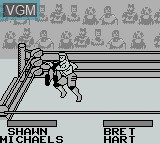 In-game screen of the game WWF King of the Ring on Nintendo Game Boy